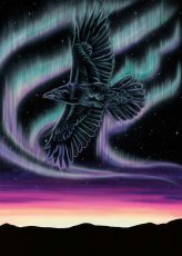 Sky Dance - Raven