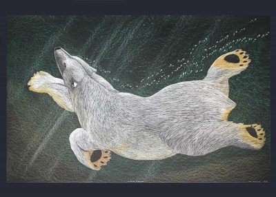 Swimming Bear, 2016, Screenprint, 76.5 x 113 cm