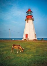 Port-Au-Choix Visitors, NL