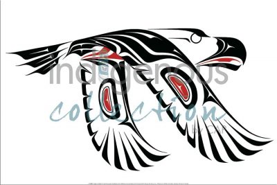 product_7708PLL-wm