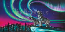 POD2542LARGETOWEL