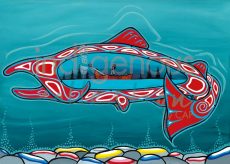 Big Salmon