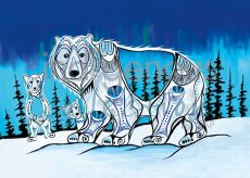 Polar Lights