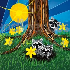 Daffodil Dreams