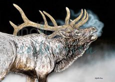 Majestic Call