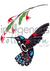 Hummingbird