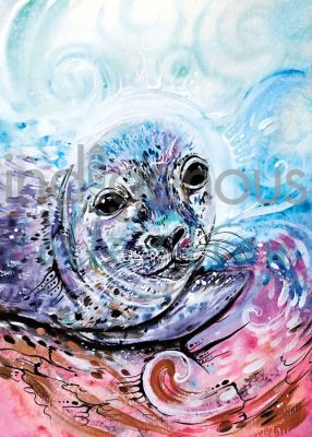 Sunset Seal