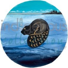Moon 11 November : Ice-forming month