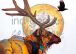 Red Elk