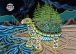 Turtle Island
