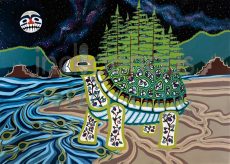 Turtle Island