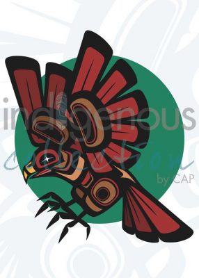 Hawk