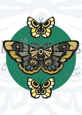 Moth and Butterflies