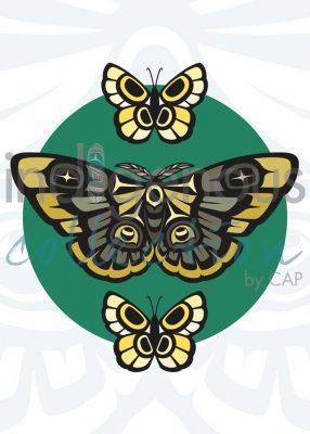 Moth and Butterflies