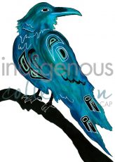 Raven
