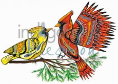 Feathered Friends