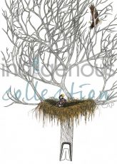 Eagle's Nest