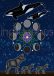 The Whale, the Wolf, and the Moon