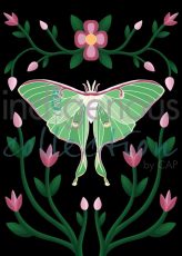 Lunar Moth and Ojibwe Florals