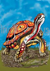 Spirit Turtle