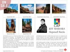 Hopewell Rocks