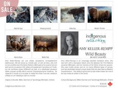 Canadian Wildlife