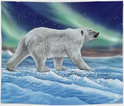 20230BLANKET