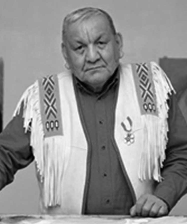 Alex Janvier (1935 - 2024)