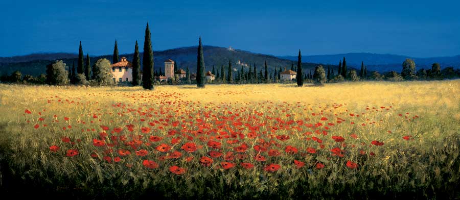 Tuscan Panorama - Poppies by artist  David Short