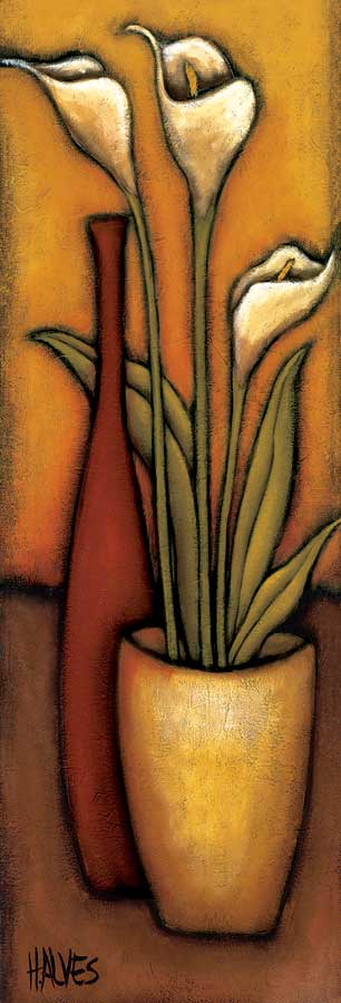 Copo-de-Leite by artist  H  Alves