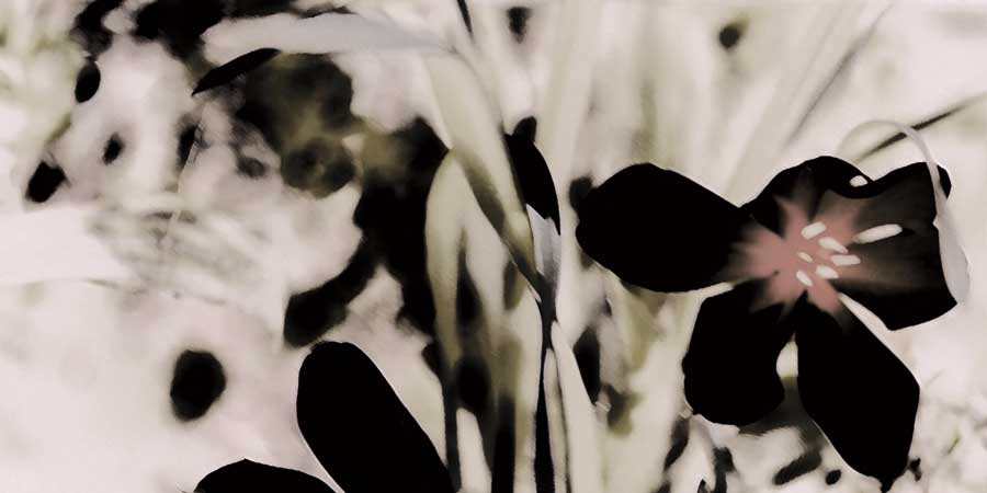 After the Rain by artist  Jane-Ann Butler