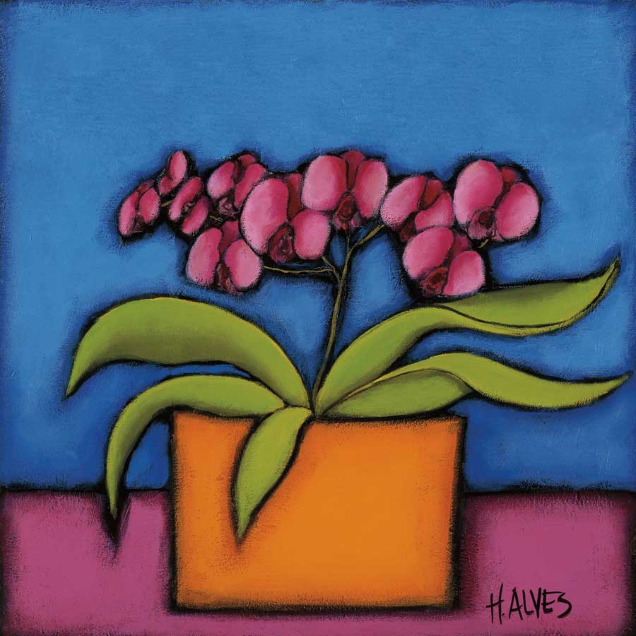 Orquidia Rosa by artist  H. Alves