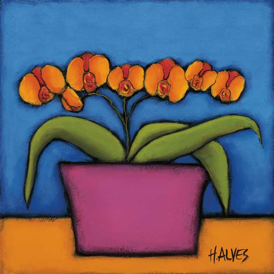 Orquidia Laranja by artist  H. Alves