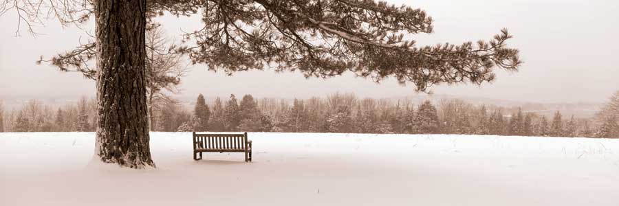 First Snow II by artist  Mike Sleeper