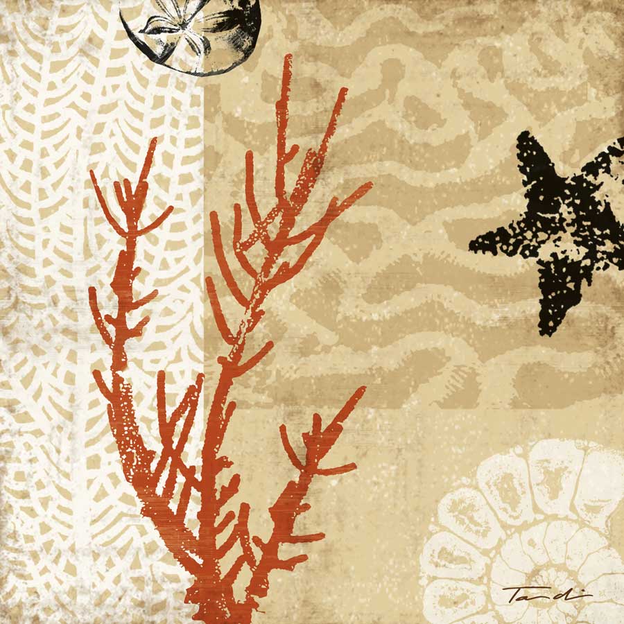 Coral Impressions I by artist  Tandi Venter