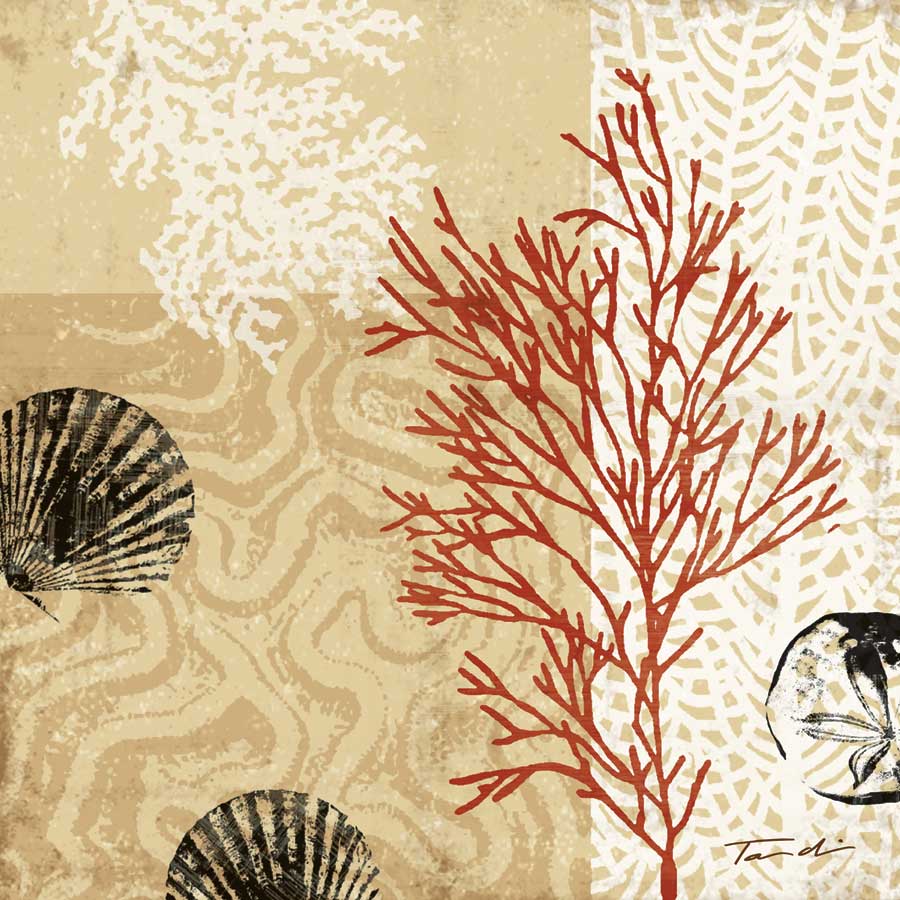 Coral Impressions II by artist  Tandi Venter