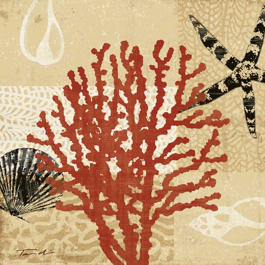 Coral Impressions III by artist  Tandi Venter