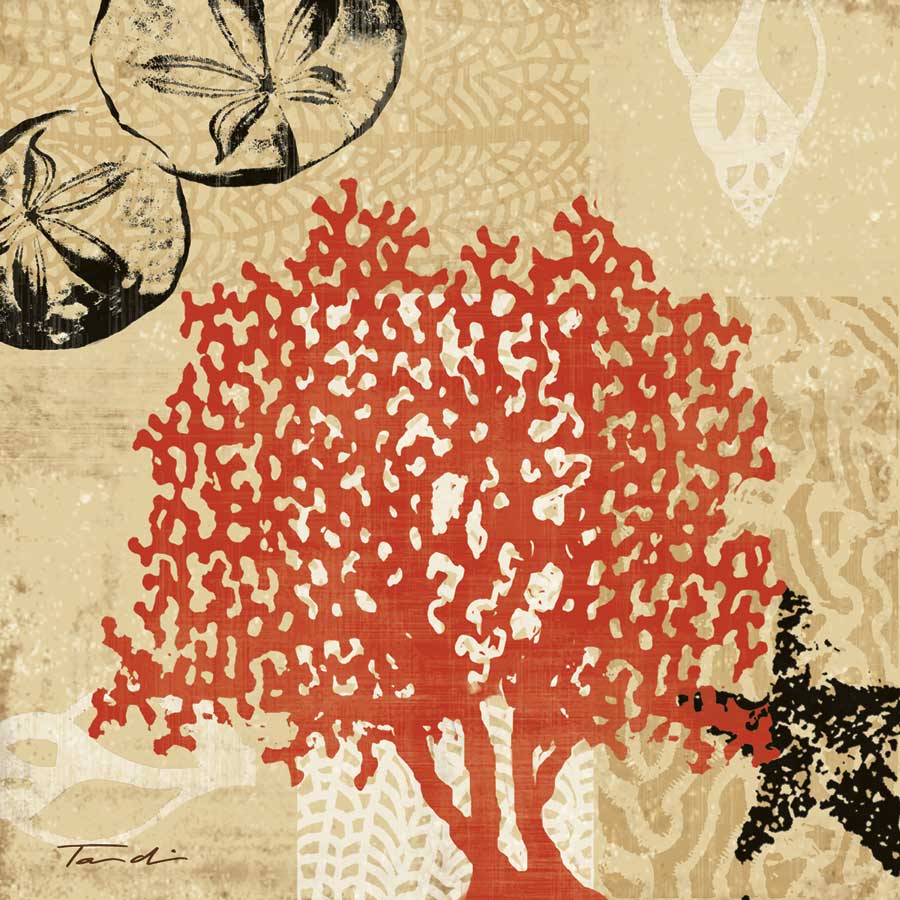 Coral Impressions IV by artist  Tandi Venter