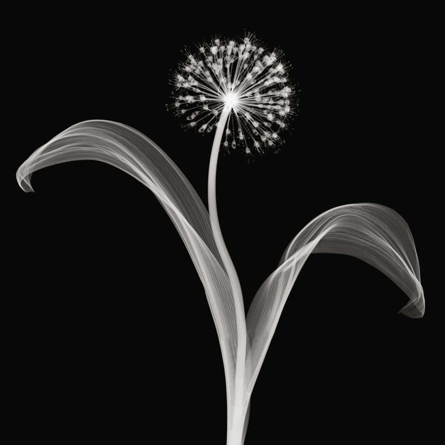 Into the Night I by artist  Jim Wehtje