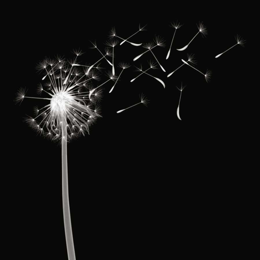 Into the Night II by artist  Jim Wehtje