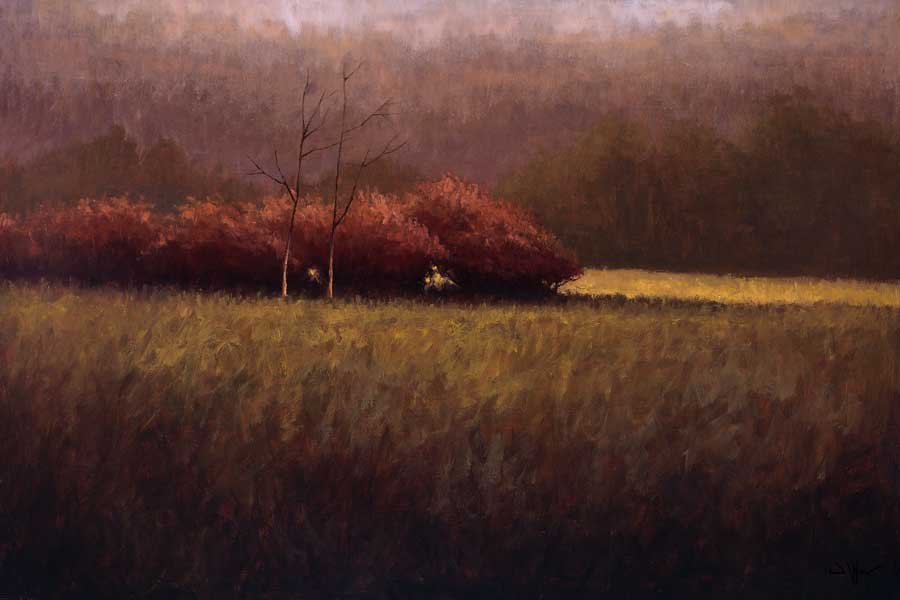Young Maples by artist  Simon Winegar