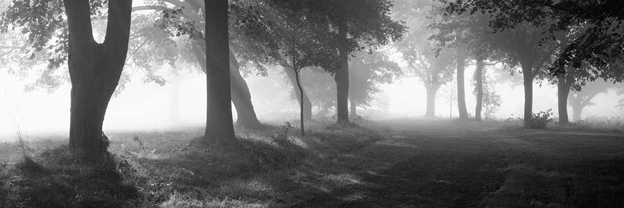 Translucence by artist  Mike Sleeper