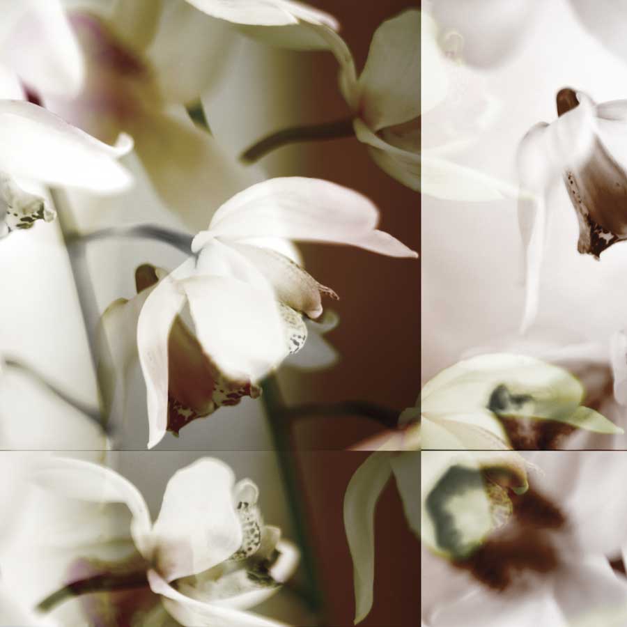 Cymbidium Orchid I by artist  Jane-Ann Butler