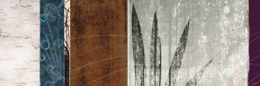 Aloe Garden I by artist  Noah