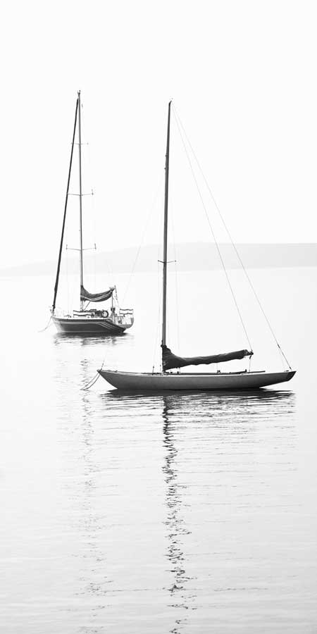 Still Waters II by artist  Boyce Watt