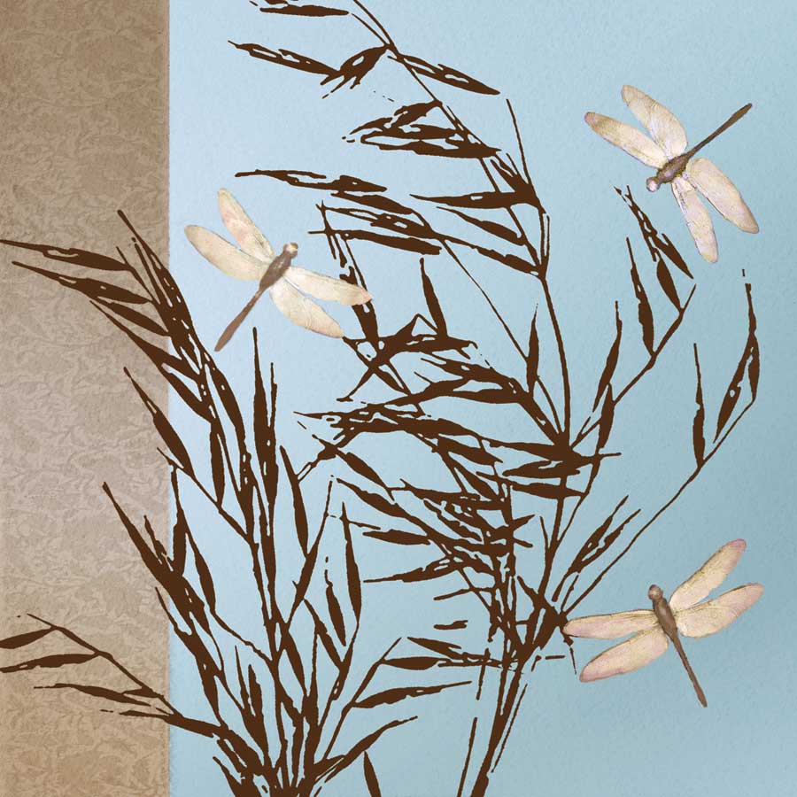 Dragonflies by artist Caroline Gold