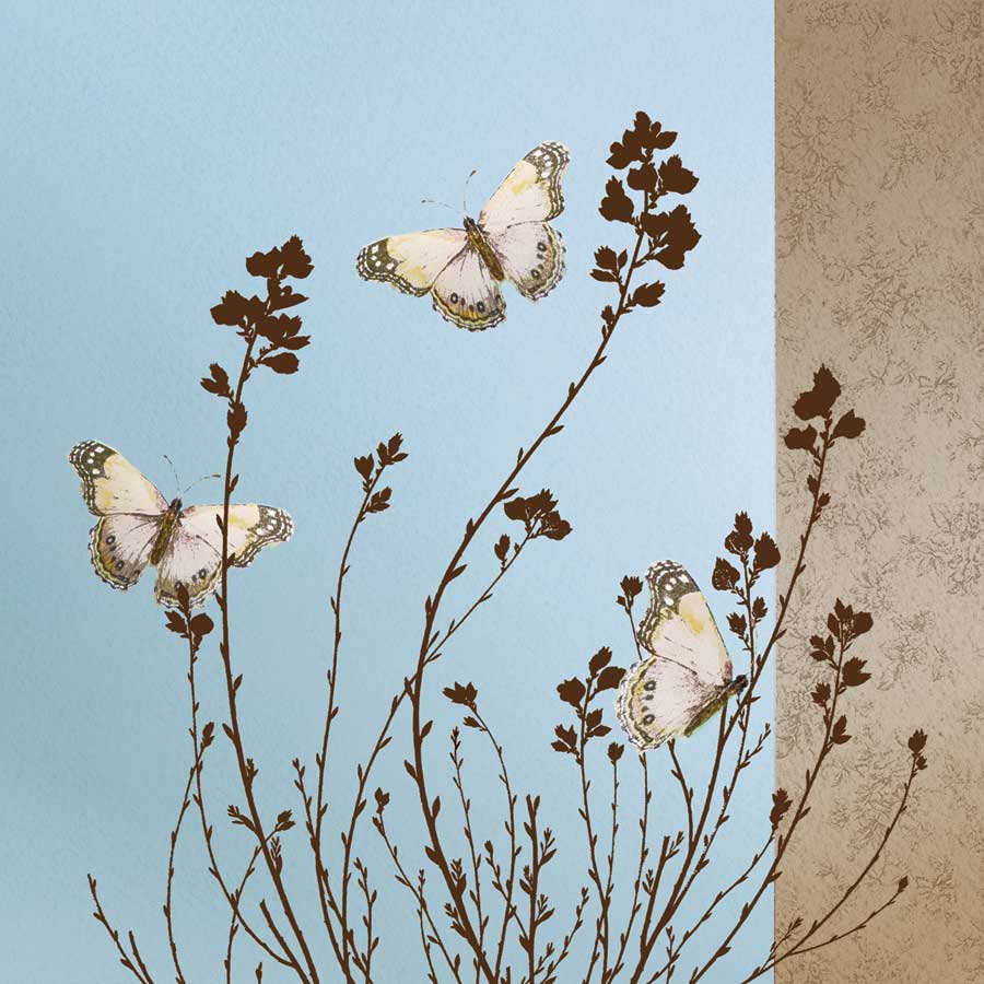 Butterflies by artist Caroline Gold