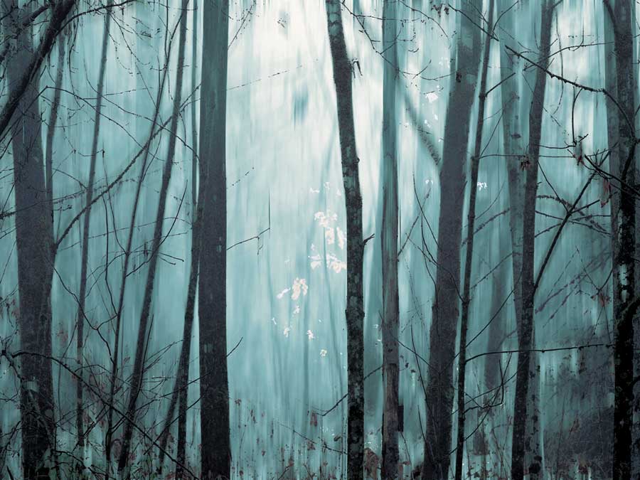 Spring Mist I by artist Marvin Pelkey