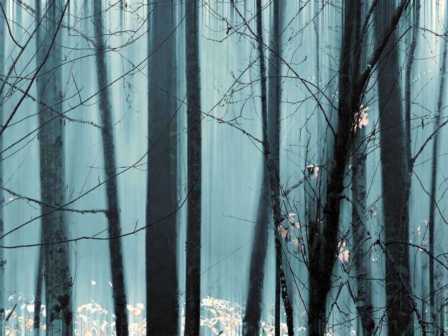 Spring Mist II by artist Marvin Pelkey