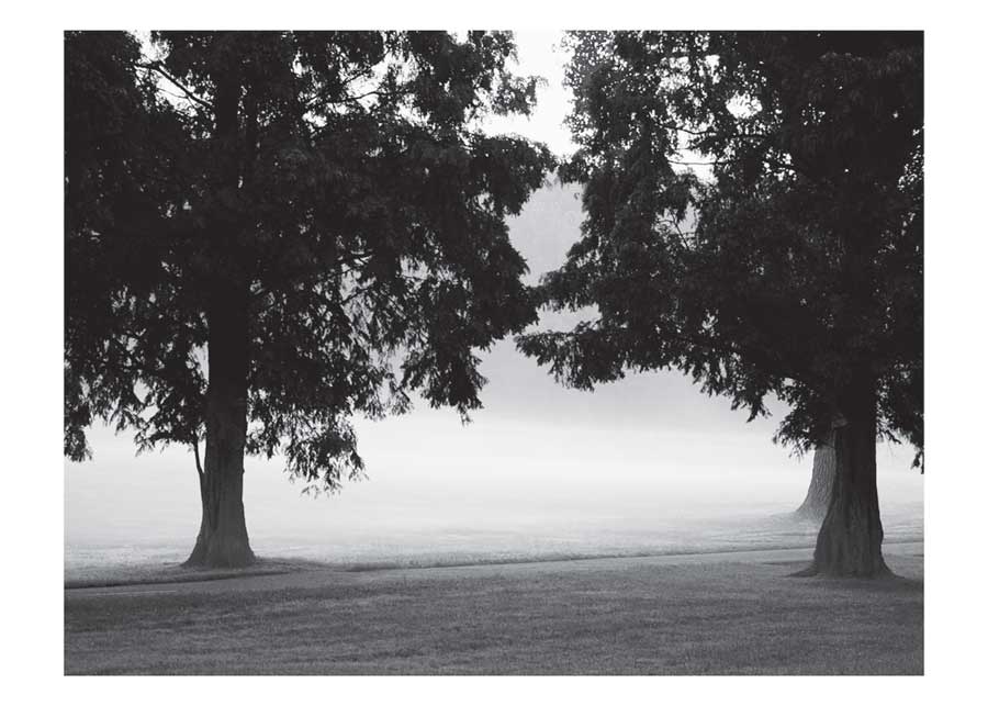 Fog in the Park II by artist Gary Bydlo